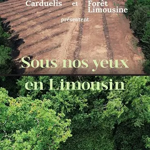 Sous-nos-yeux-en-Limousin-x2