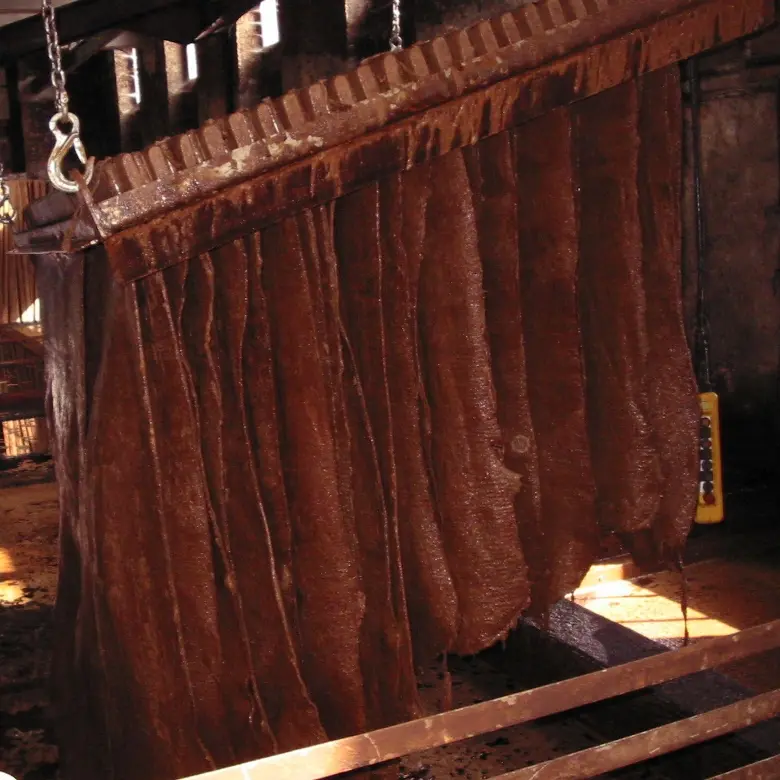 St-Léonard-de-Noblat Tannerie Bastin Visite guidée