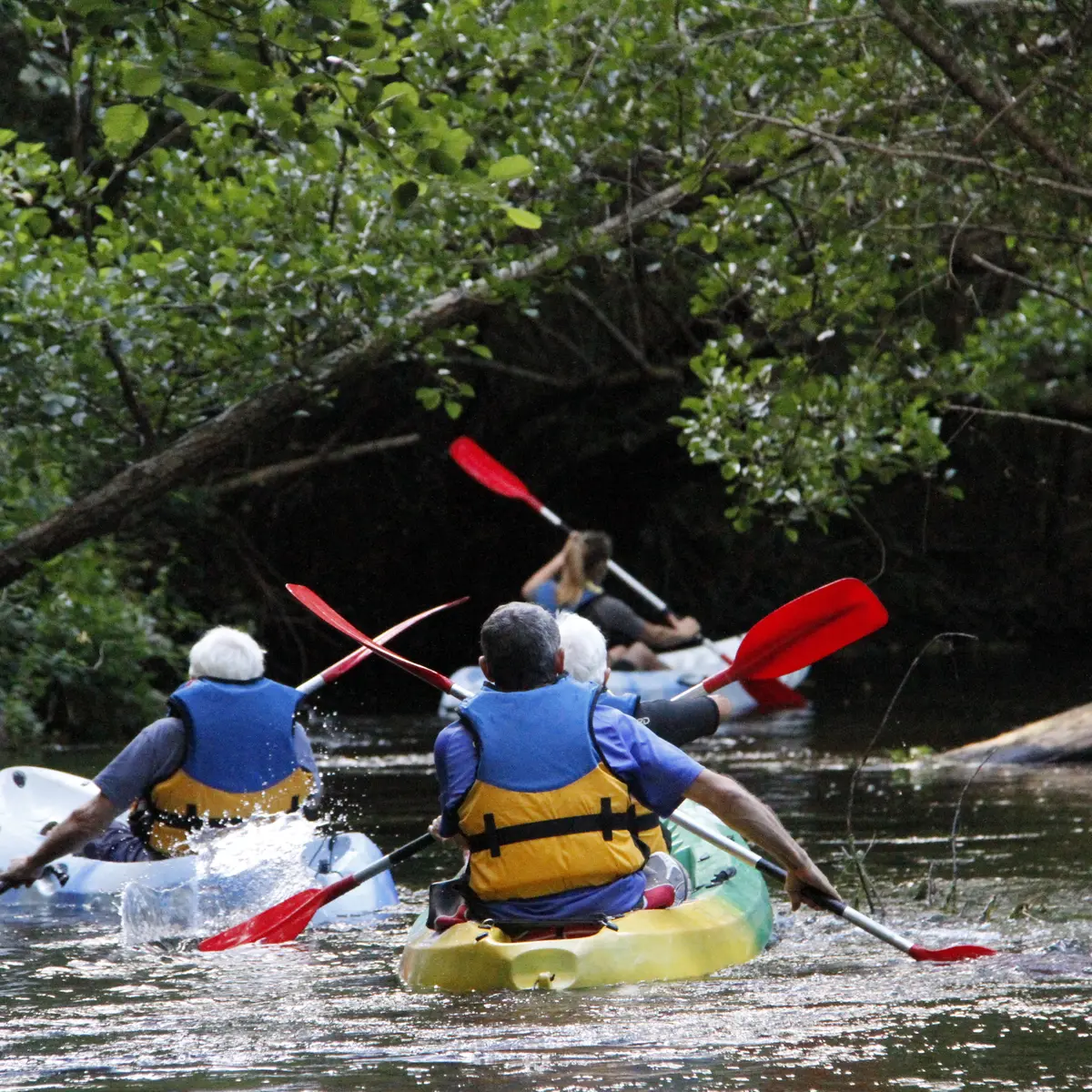 St-Michel-Escalus_Canoe Land