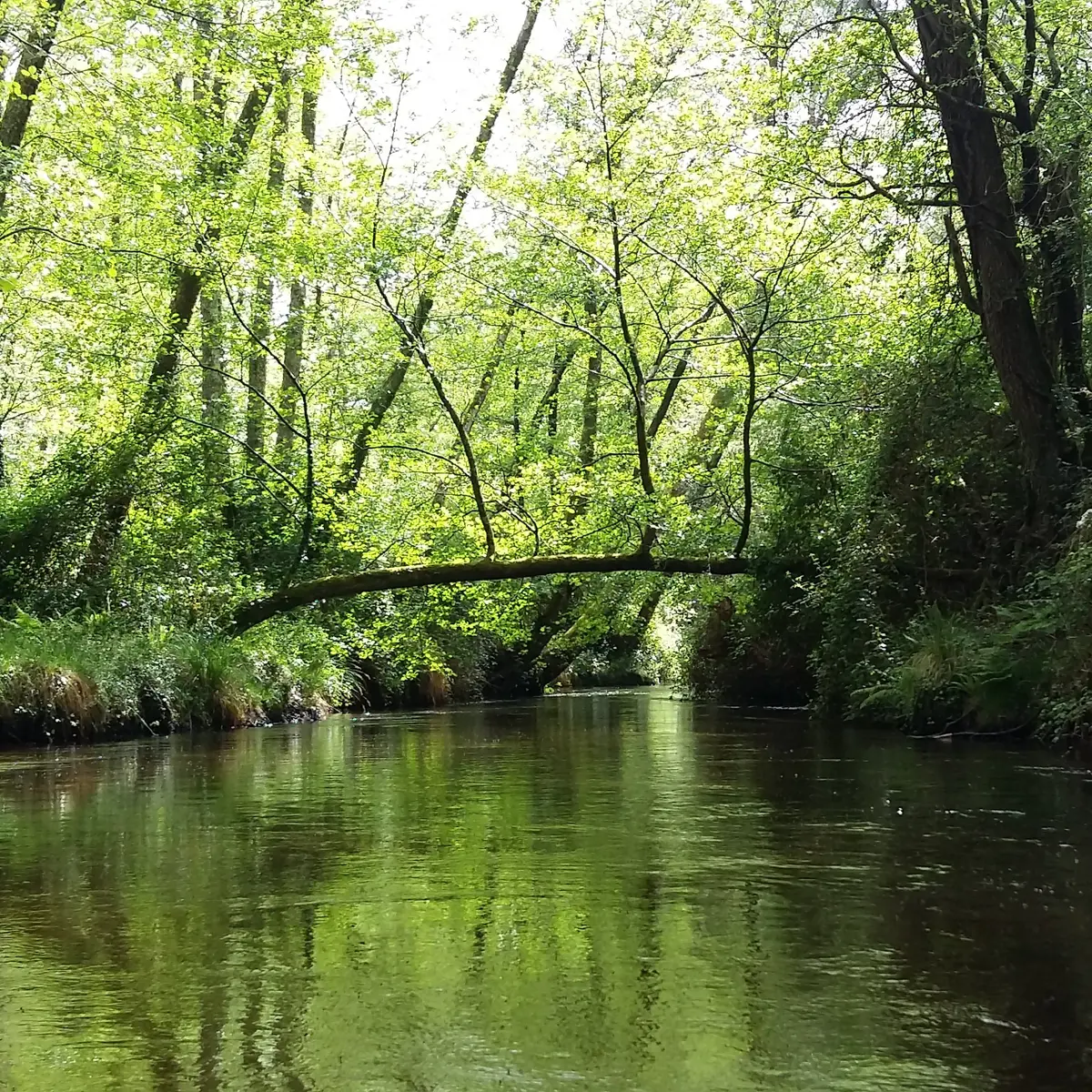 St-Michel-Escalus_Canoe Land (2)