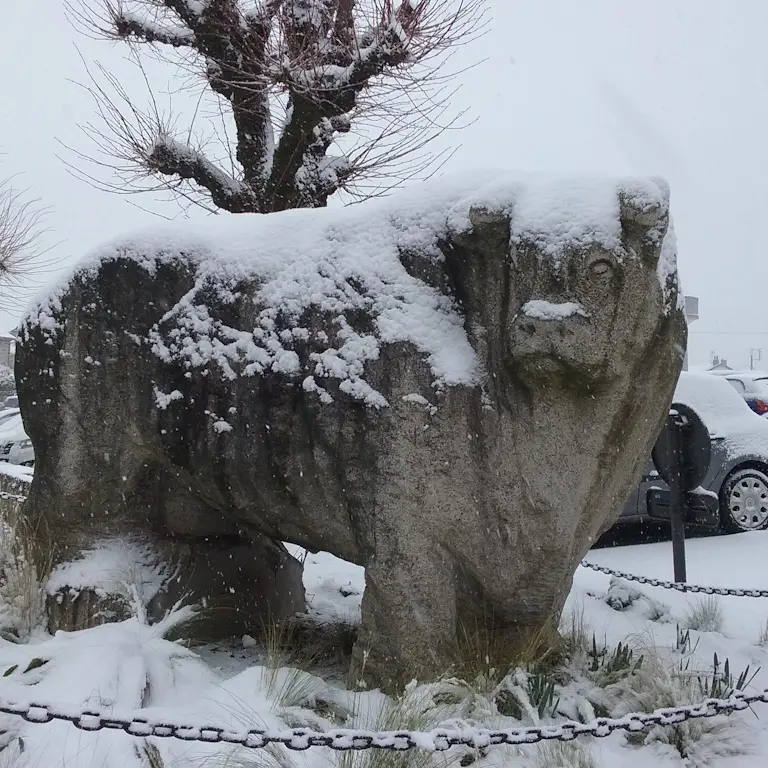 Statue de taureau limousin de Saint-Léonard de Noblat sous la neige©M. IHDI
