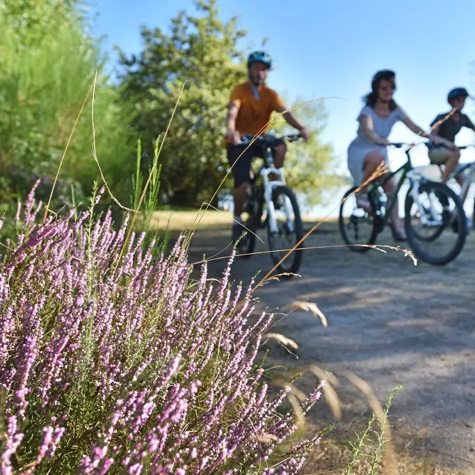 VTT à Vassivière-dépt.23