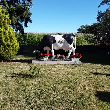 Vache déco-GAEC Cottin_web