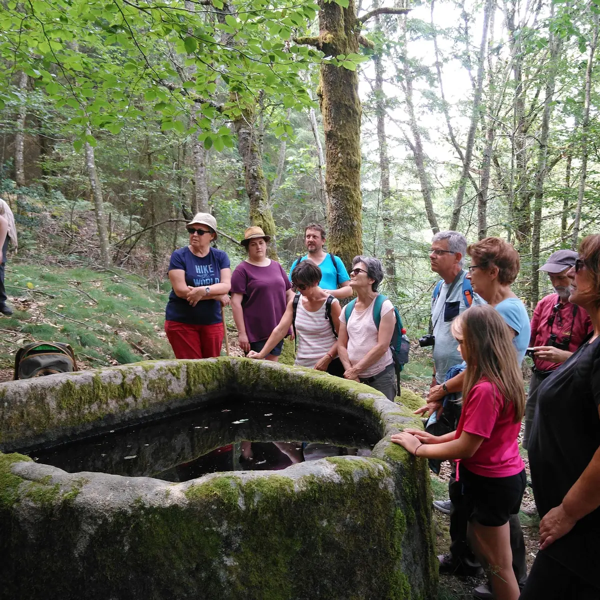 Vassivière Randonnée été 2019 (c) Pays Monts et Barrages-Isabelle PÉCLY (14) R