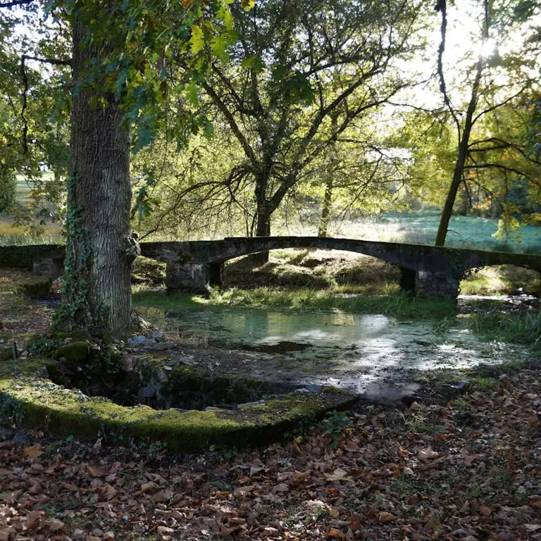 Villa Monteux - bassin du parc©