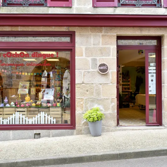 Vitrine Au cOchOn dingue