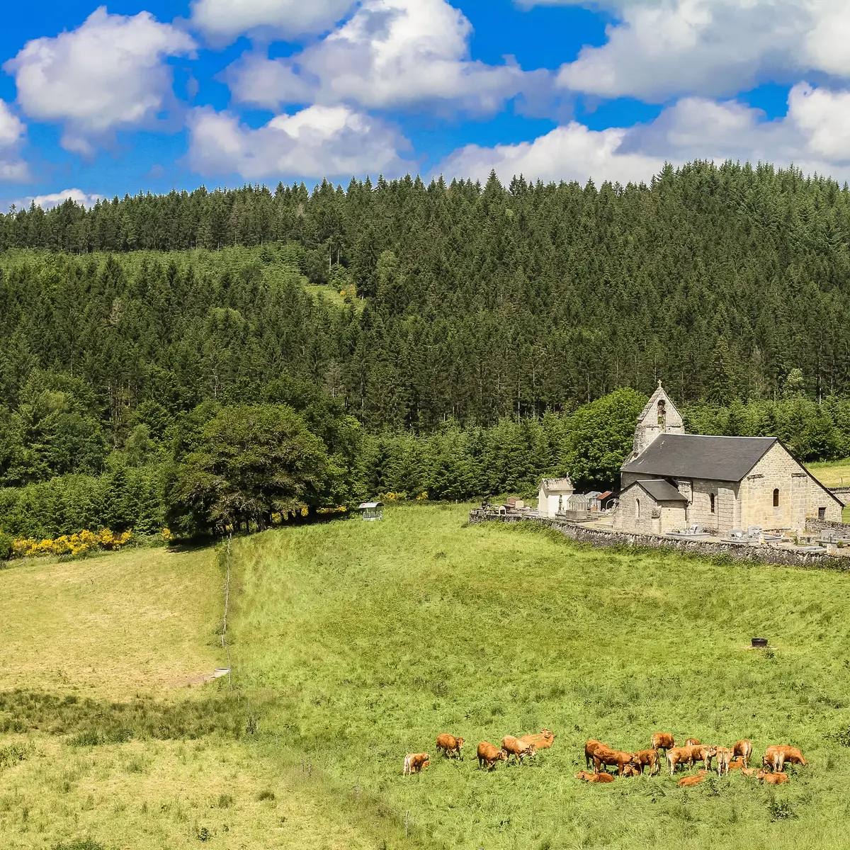 Vue Eglise aux bois © N Granger