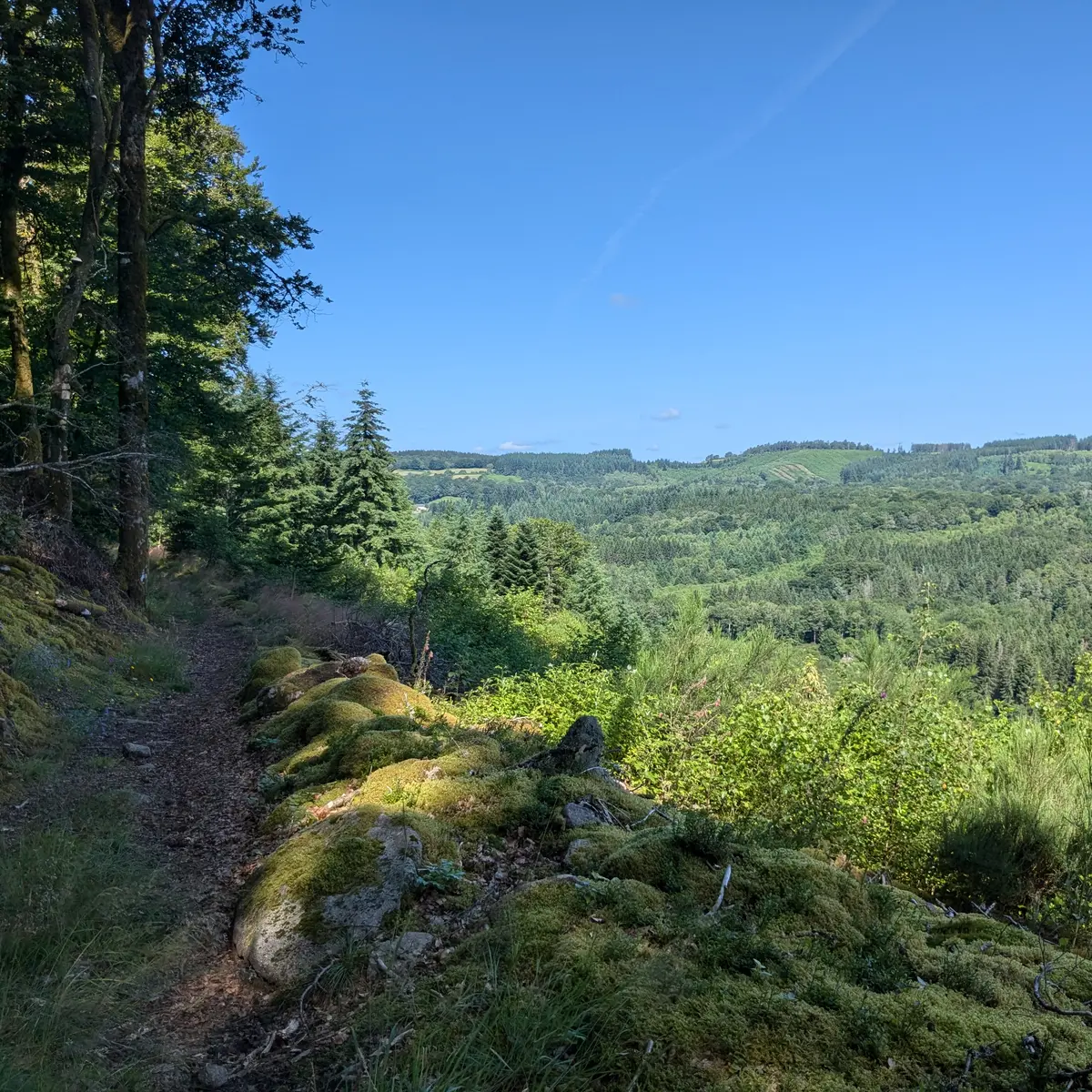 Vue Tarnac © M Clavaux (2)