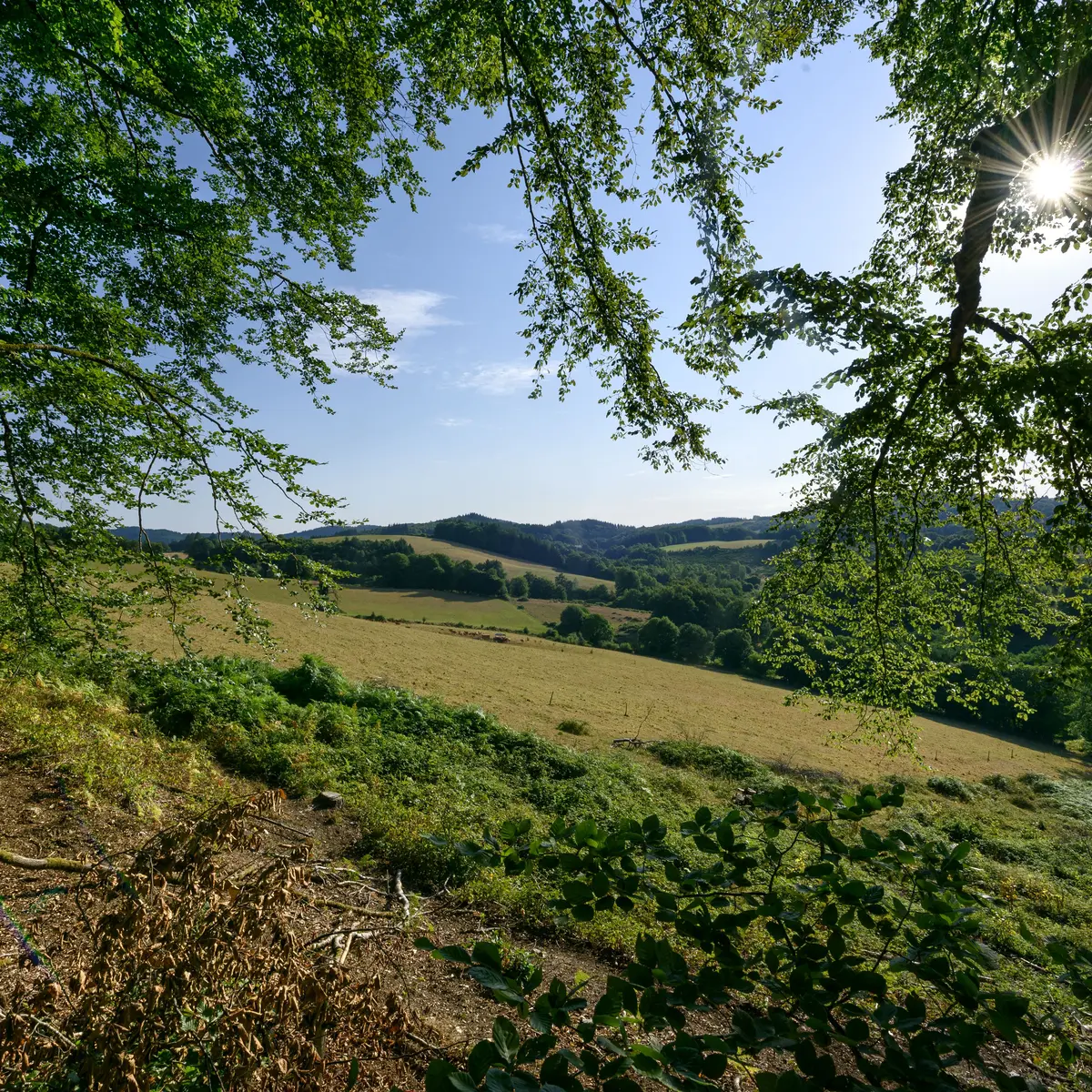 Vue du Mont-Ceix - Chamberet © Benoit Charles  (8)