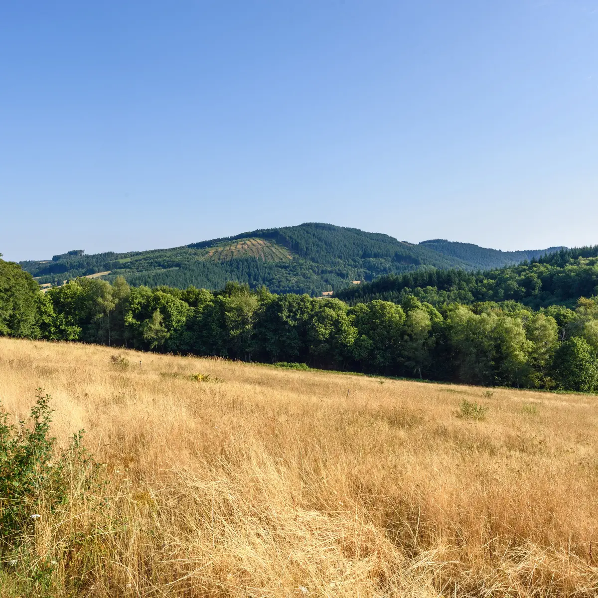 Vue du Mont-Ceix - Chamberet © Benoit Charles  (2)