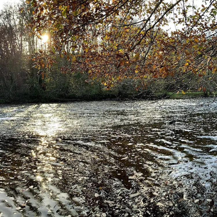 Vue panoramique du secteur aval de la filterie de Brignac
