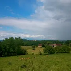 Vue1