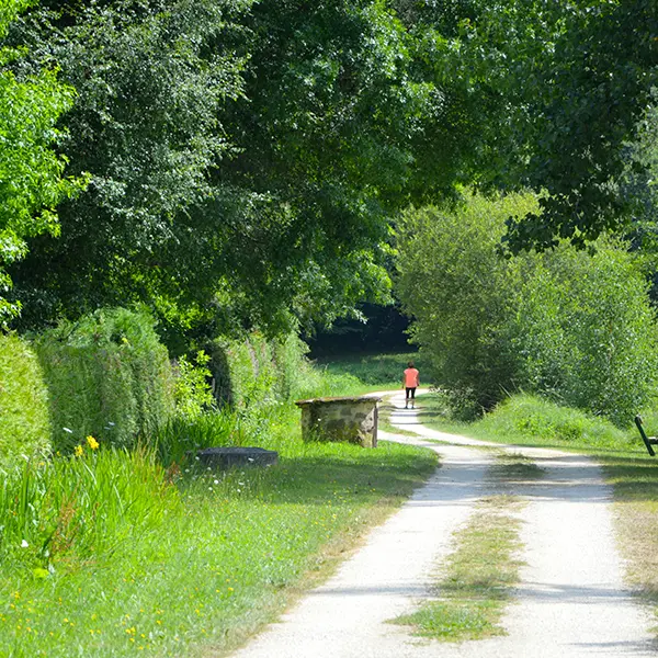 aire-de-pique-nique-flavignac