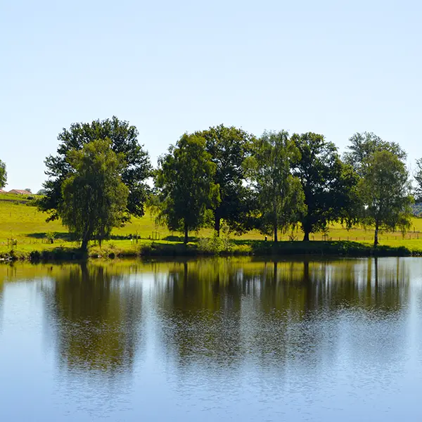 aire-de-pique-nique-saint-hilaire-les-places