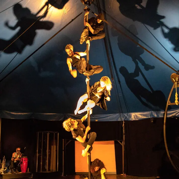 apocalippo_CircoPaniko_vittorio curzel