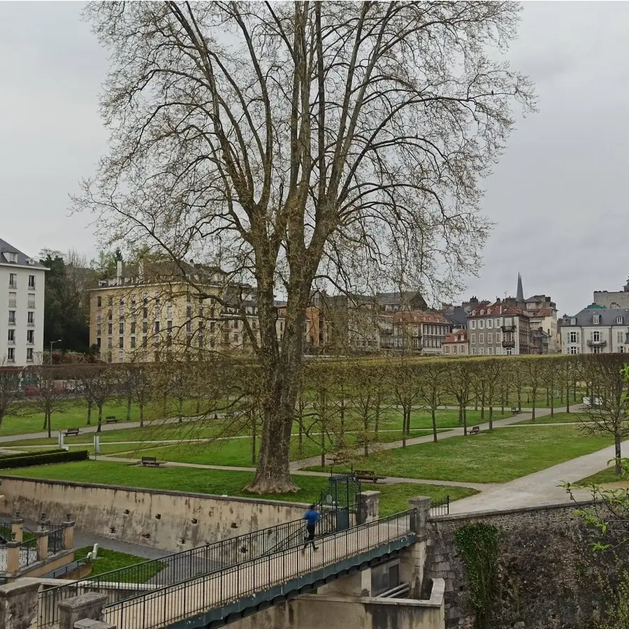 Château de Pau - (Basse-Plante) 2