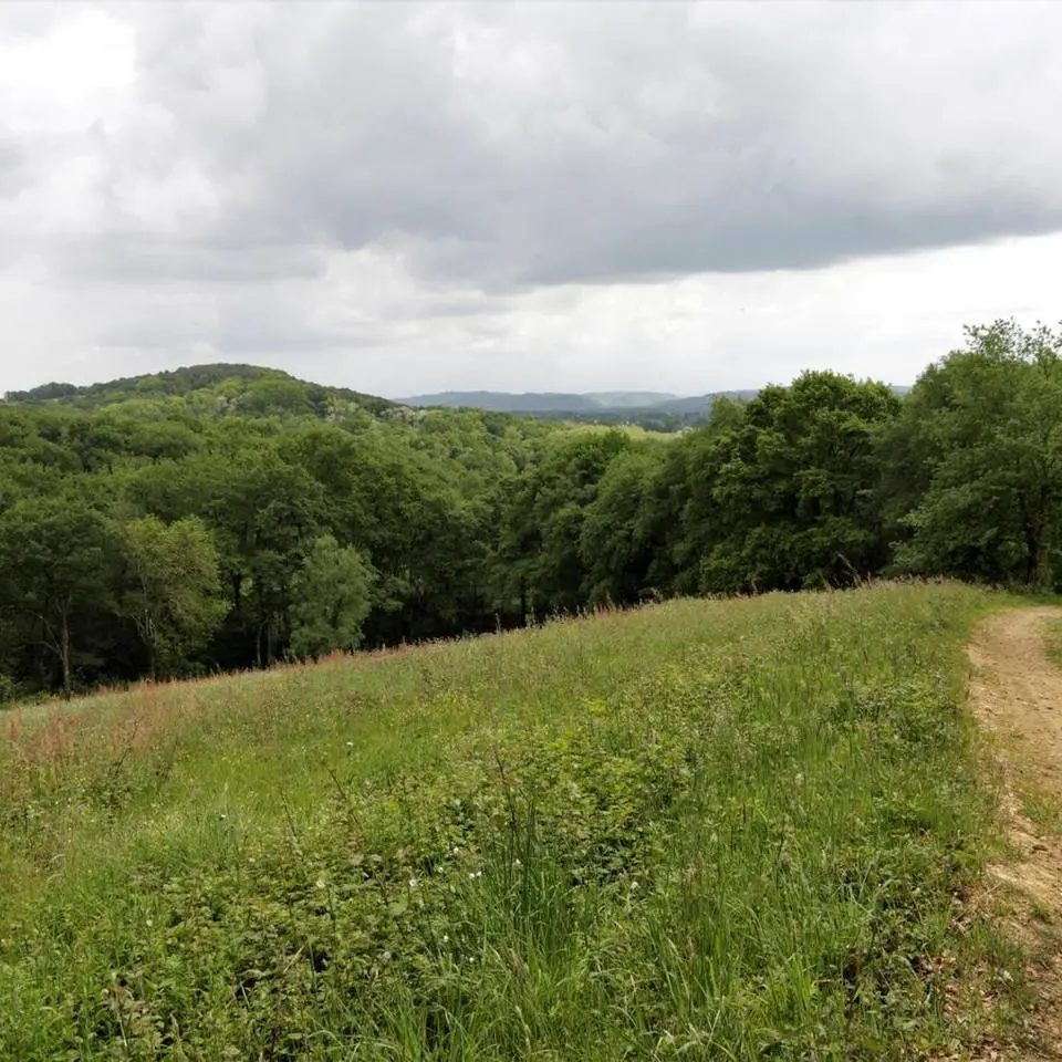 Aire de pique- nique - Beyrie en Béarn - le site 4