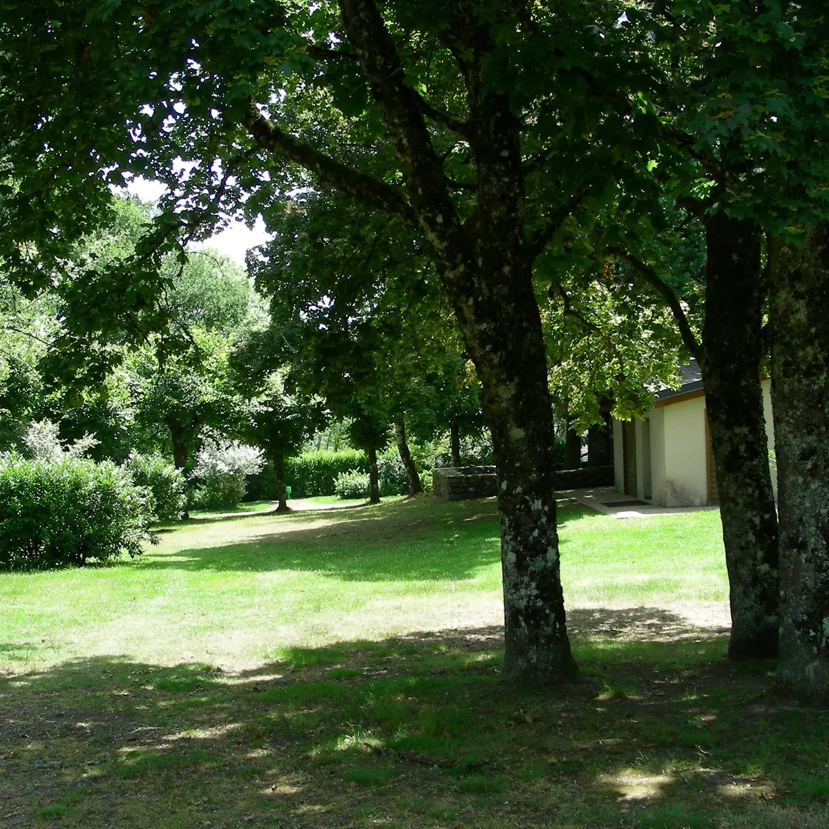 Camping municipal_4