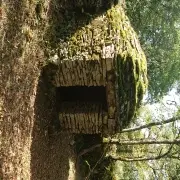cabane de la Louise.jpg1