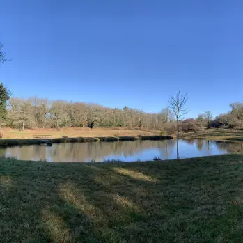 Carpodrome du Rochelot - Saint-Brice-sur-Vienne