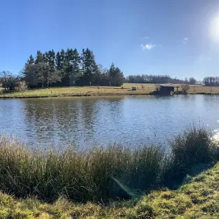 Carpodrome du Rochelot - Saint-Brice-sur-Vienne