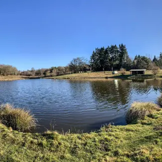 Carpodrome du Rochelot - Saint-Brice-sur-Vienne