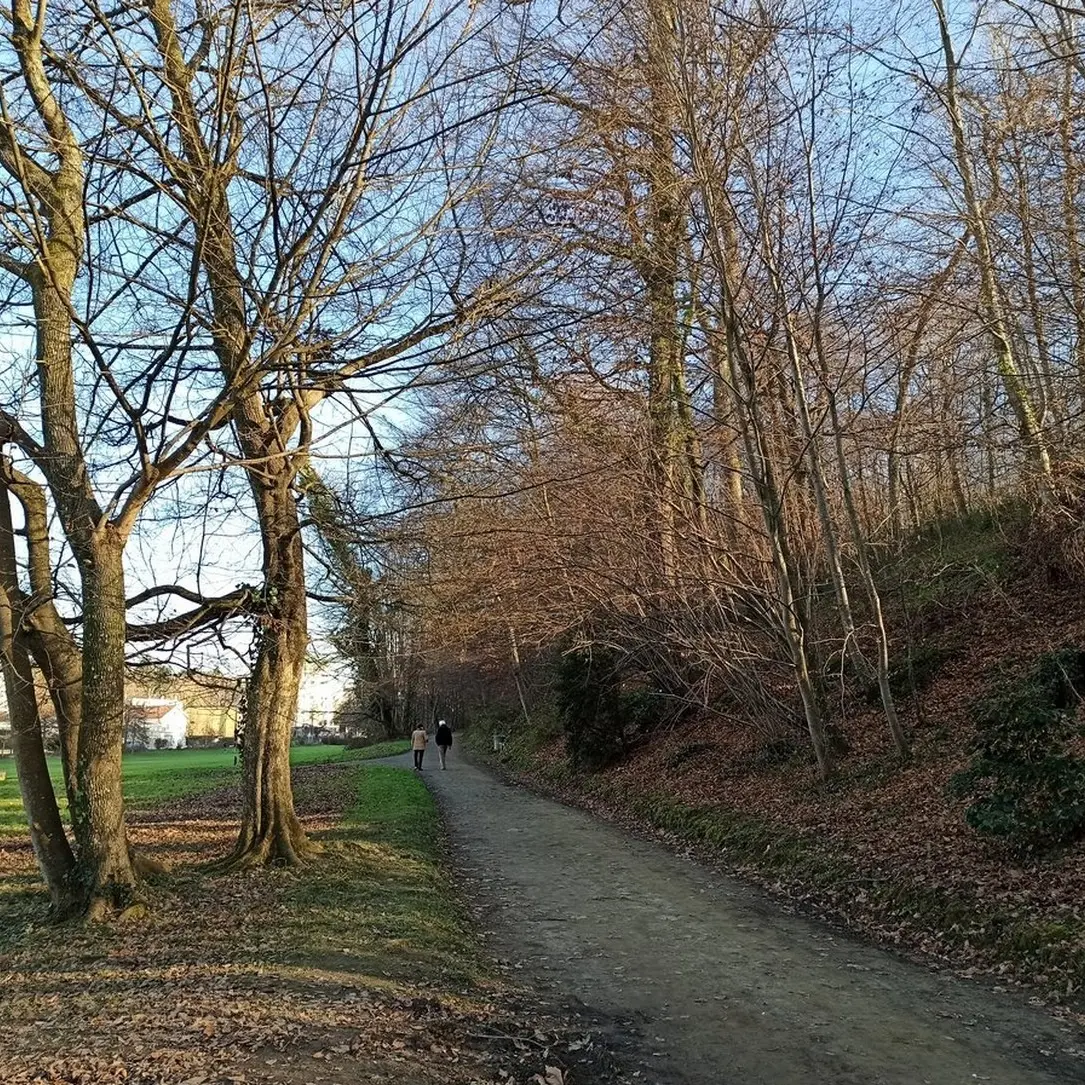 Parc du Château - Pau - en hiver