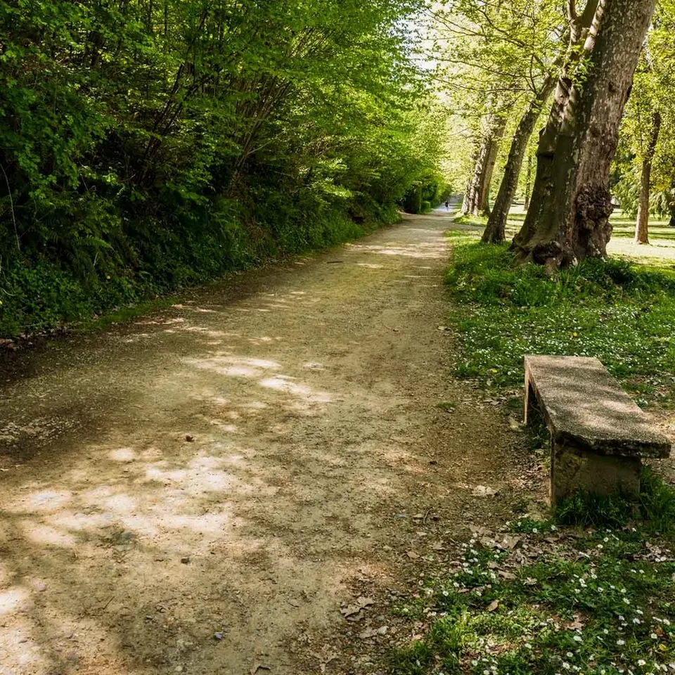 Parc du Château - Pau - allée 1
