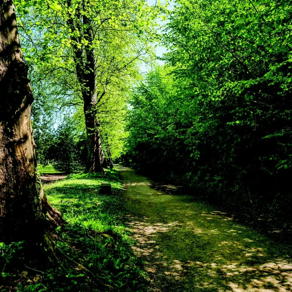 Parc du Château - Pau - allée 2