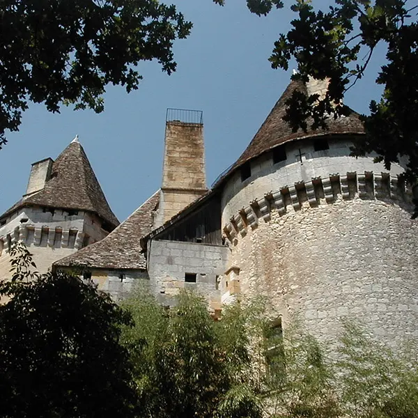chateau-de-lanquais3