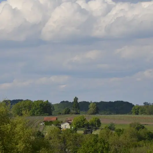 chateau-la-robertie (5)