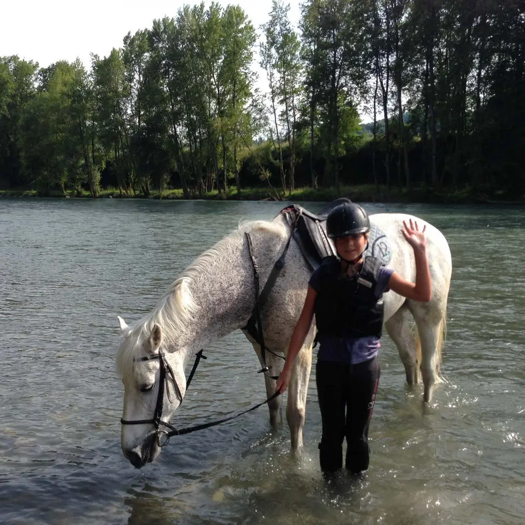 Cheval Détente - Laroin - au bord du gave