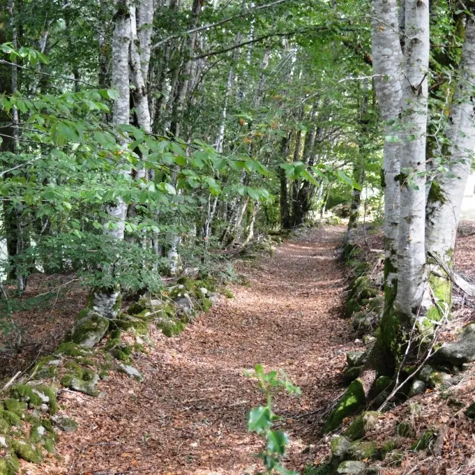 chemin_muret