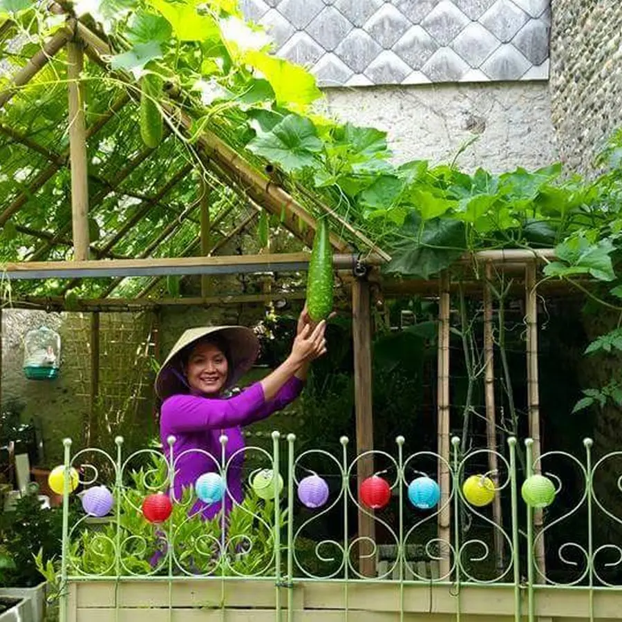 Restaurant Coco Viet - Pau - jardin