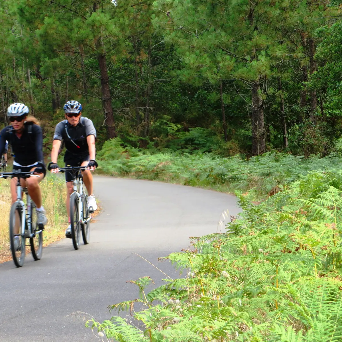 sur la vélodyssée