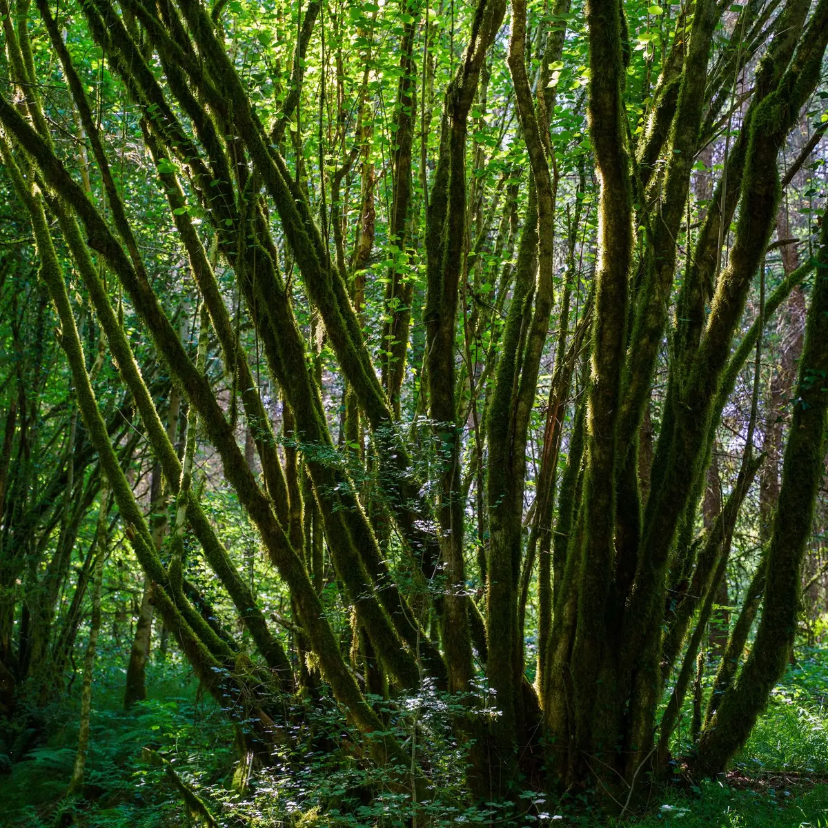 csm_domaine-Ligoure-12-min_7f5b190f5c