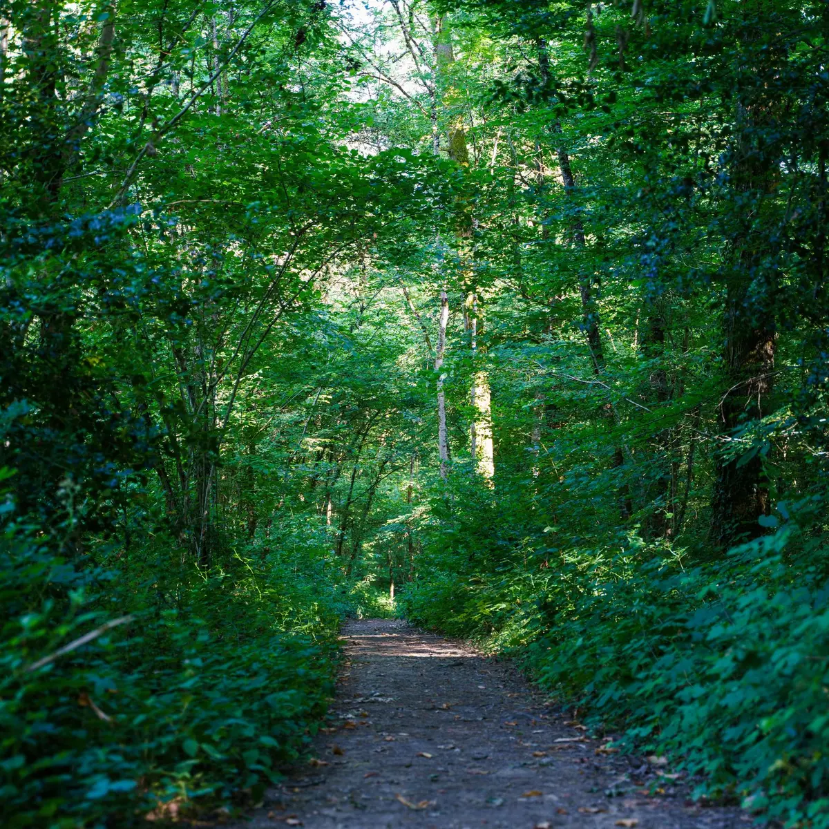 csm_domaine-Ligoure-25-min_66cdf5fa26