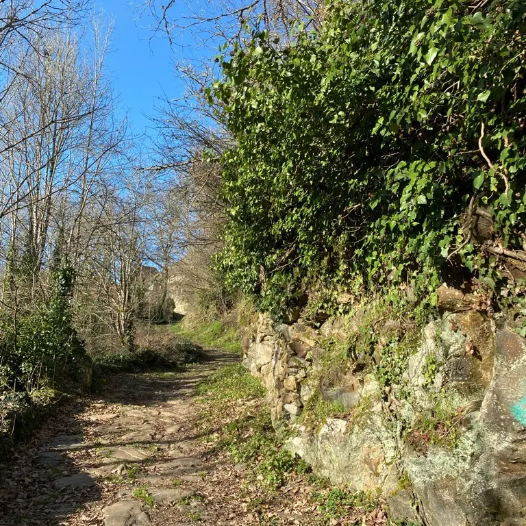 des-viaducs-la-pars-urbana-dantone-194277-3 - Lélé.19