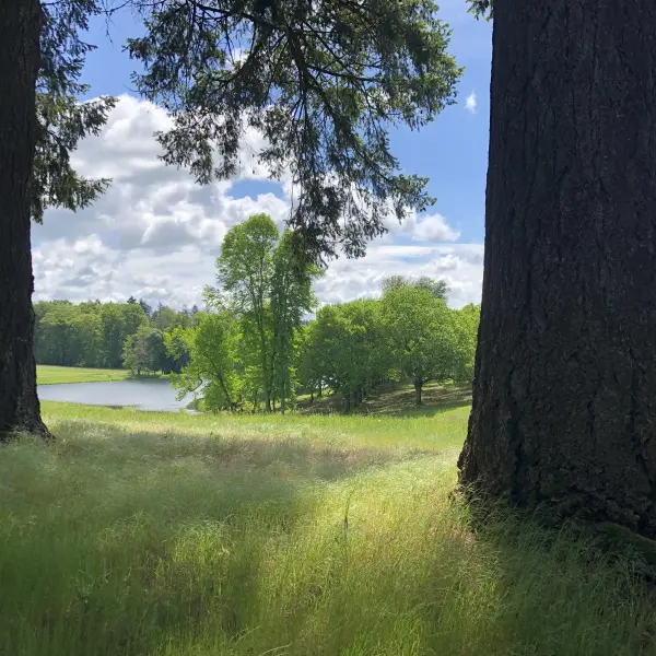 Domaine de Bort