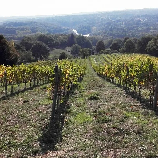 domaine-des-gabies-terroir