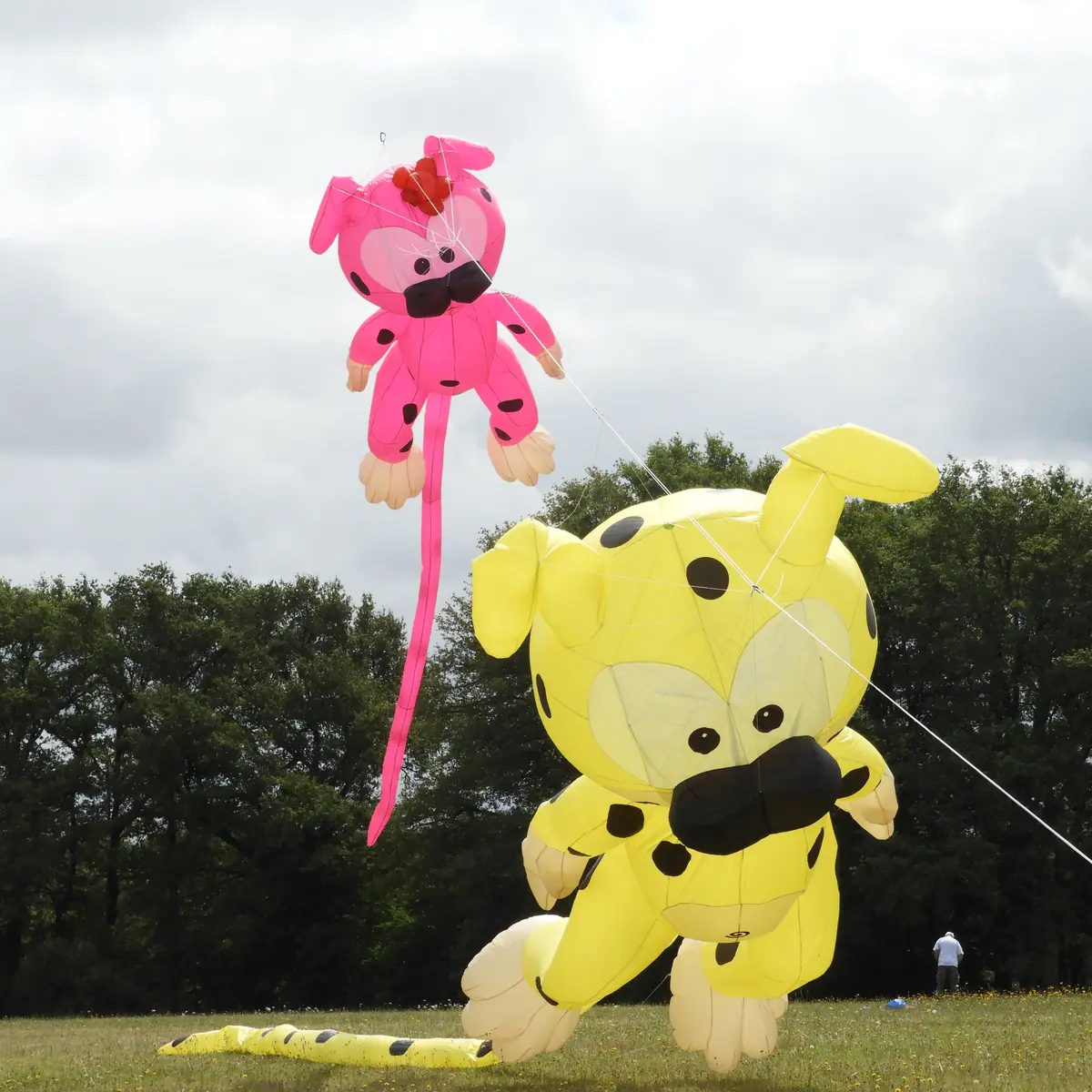 Duo de marsipulamis géants  credit Estivol