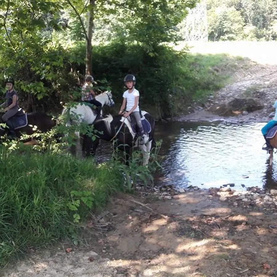 Les écuries de la vallée heureuse - Uzos - Balade