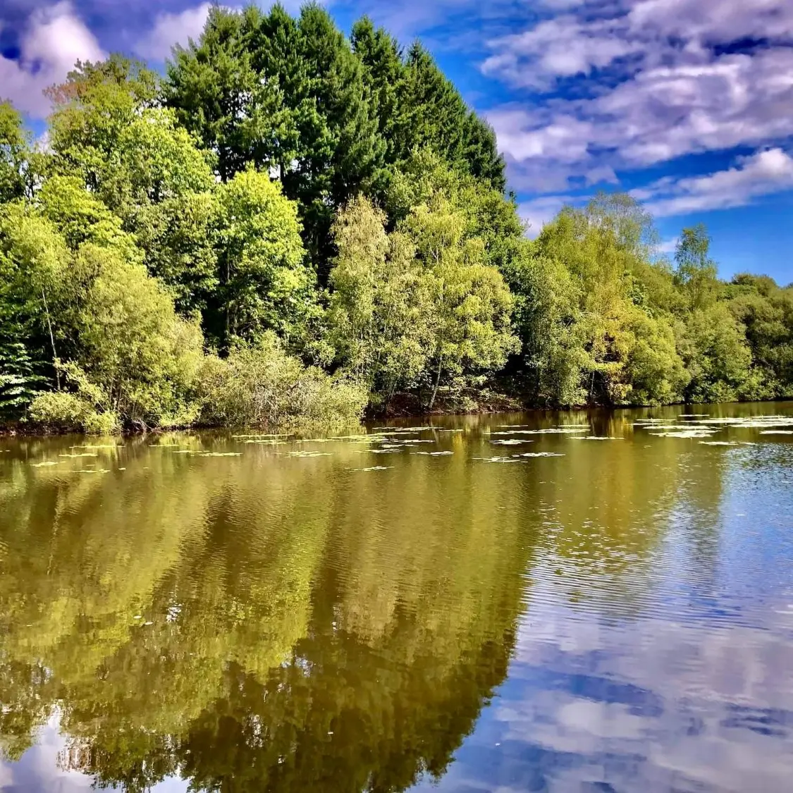 etang de Gorceix 1