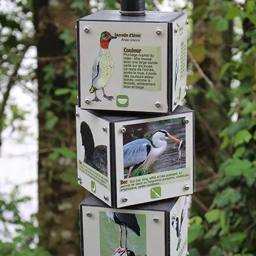 eymet-escourou-oiseau2