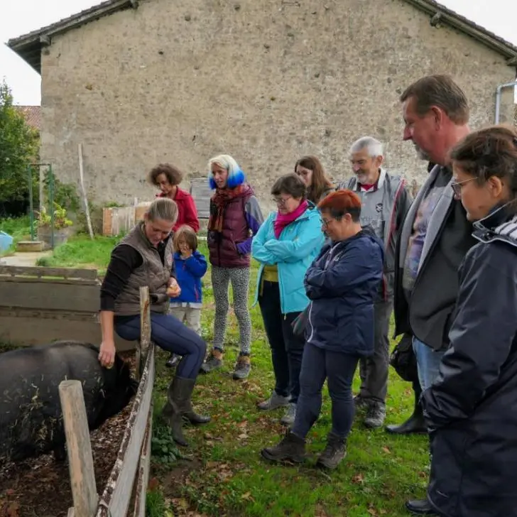 ferme-terr-happy_rochechouart_poltourisme_22_4