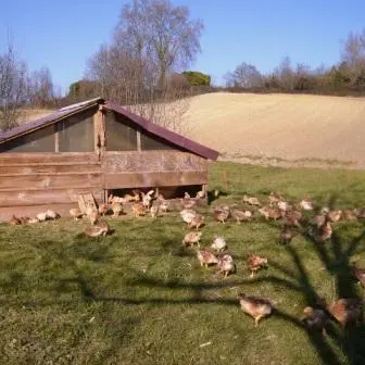 ferme bio de nicoy poulailler