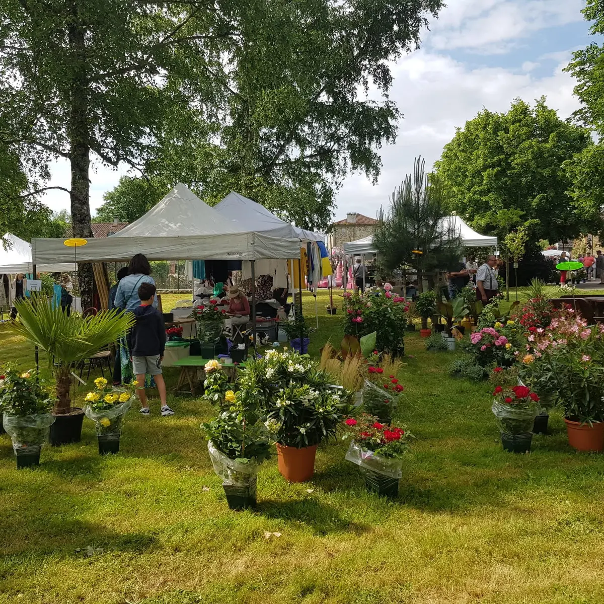 fête rose 5 crédit mairie st yrieix sous aixe