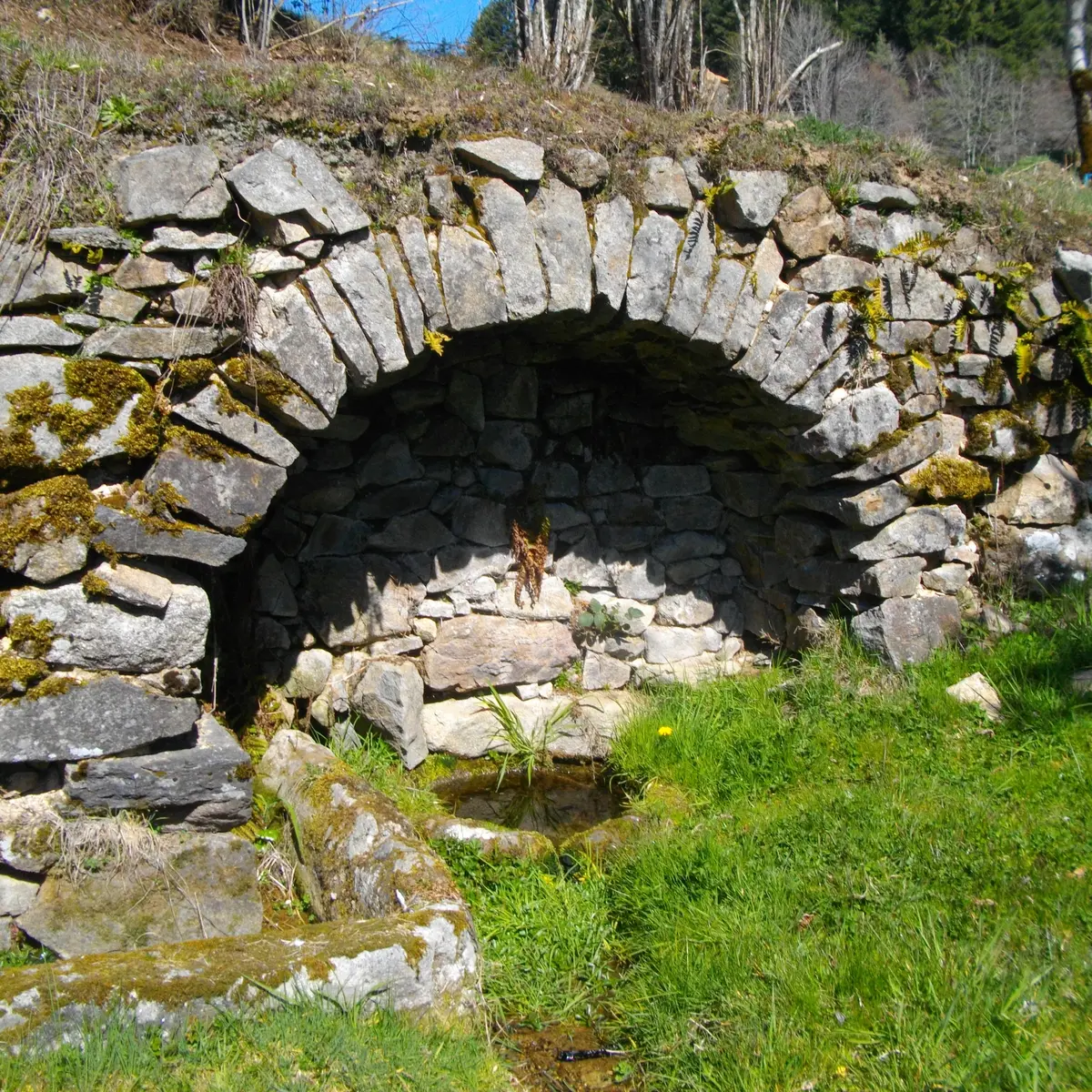 fontaine_Mas