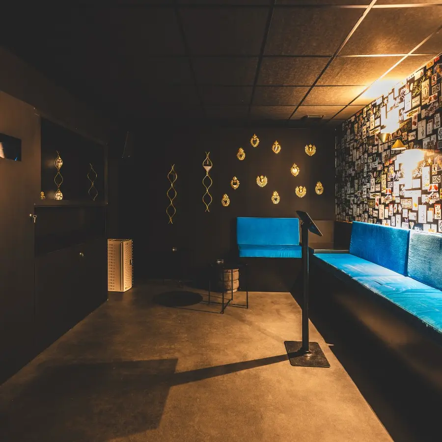 flow_karaoké_salle1