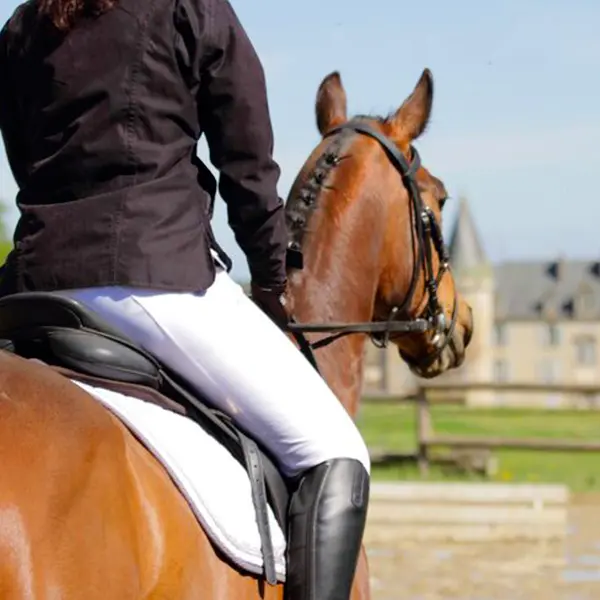 haras-du-parc-nexon